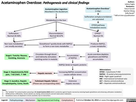 Tylenol Poisoning (Acetometophen Overdose) 